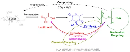 PLA的化學降解過程