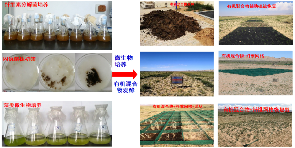 聚乳酸生物降解塑料在荒漠化治理中成果斐然