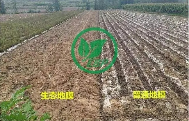 生物降解地膜發展中面臨的問題