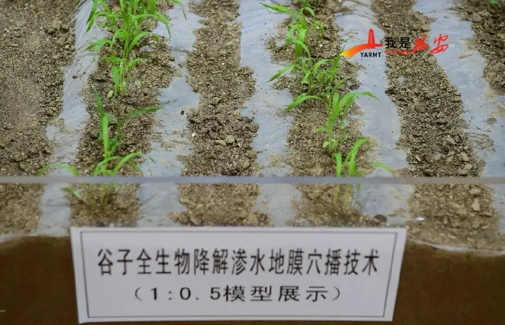 科技部：全生物降解滲水地膜旱作技術示范推廣成效良好