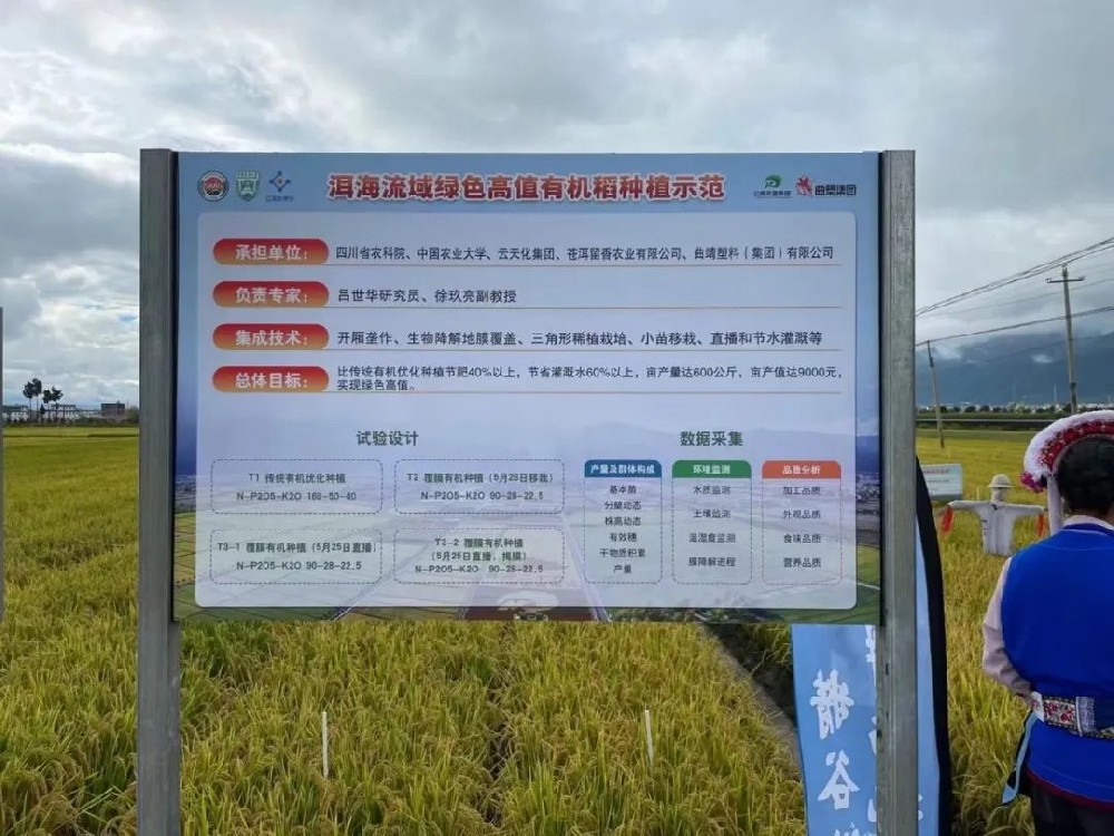 PLA+PBAT生物可降解地膜覆蓋綜合栽培技術在大理洱海流域成功示范