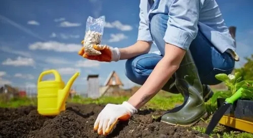 歐洲協會：可堆肥降解塑料對土壤健康有5大好處