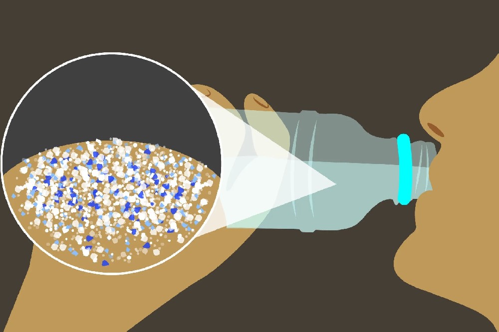 最新研究：微塑料可能會使其他污染物更有害