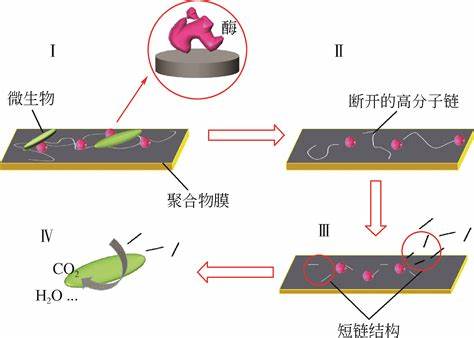 生物基可降解食品包裝材料關鍵技術